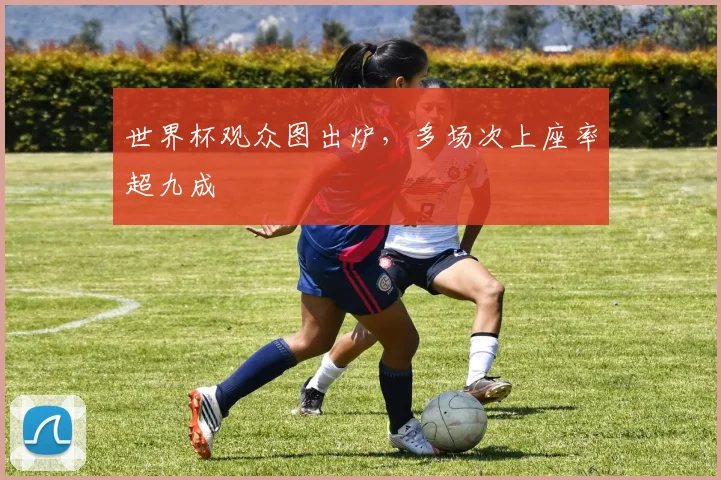 世界杯观众图出炉，多场次上座率超九成