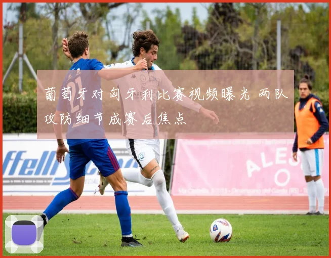 葡萄牙对匈牙利比赛视频曝光 两队攻防细节成赛后焦点